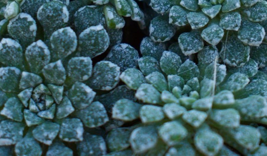 Terrazzo Plant Pot Workshop