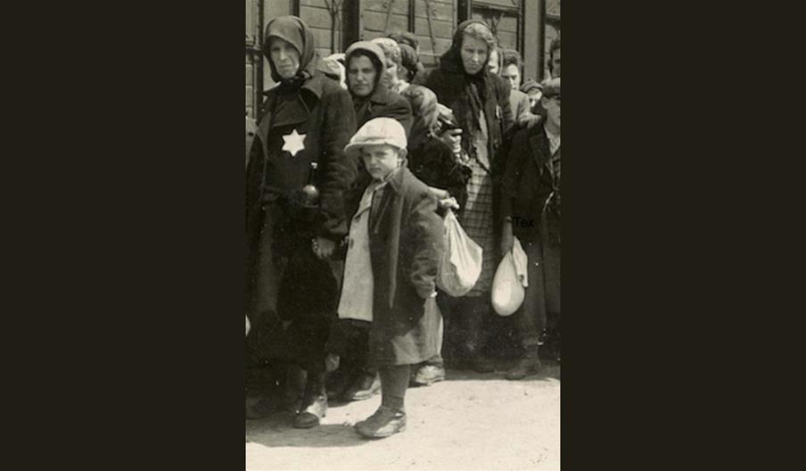 Testimonies from the Holocaust
