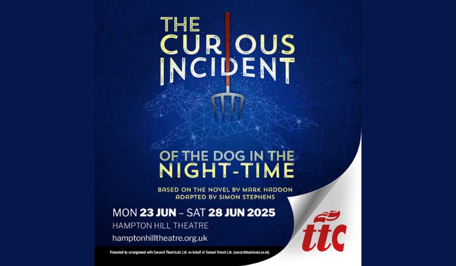 The Curious Incident