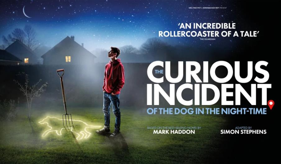 The Curious Incident of the Dog in the Night-Time