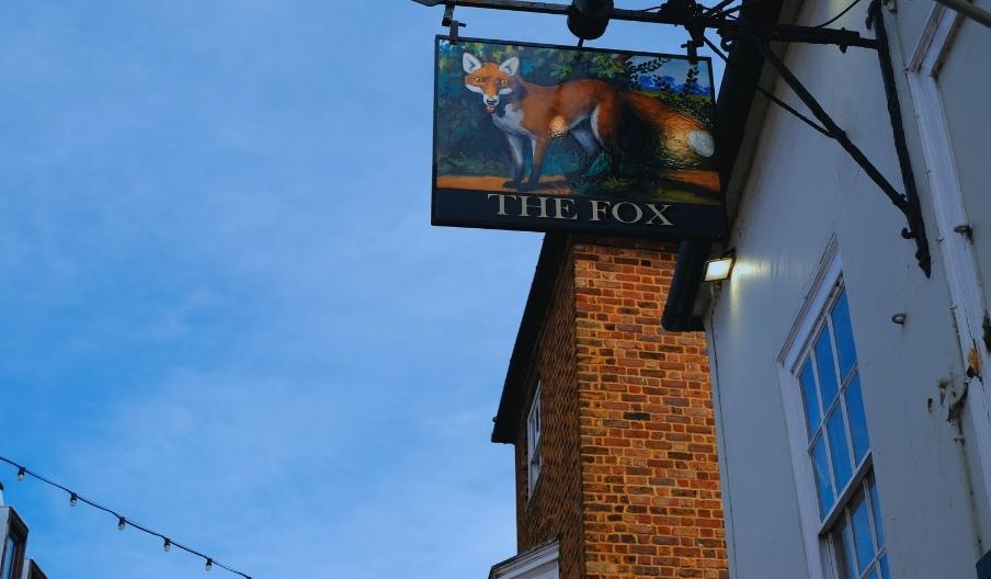 The Fox Logo