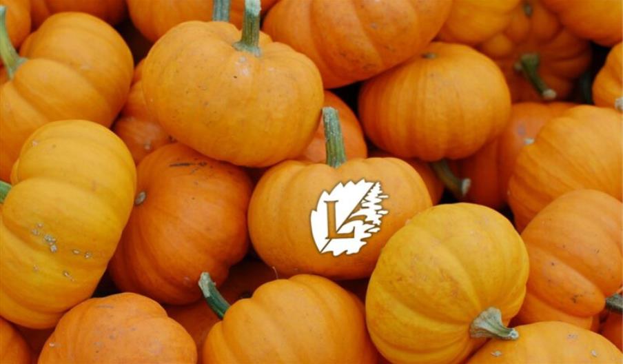 The Lensbury Halloween Spooktacular Party