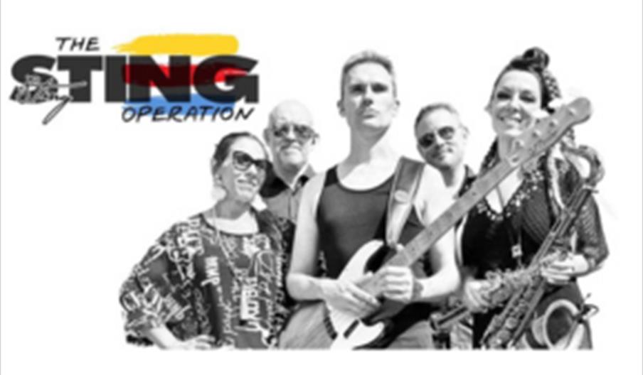 The Sting Operation