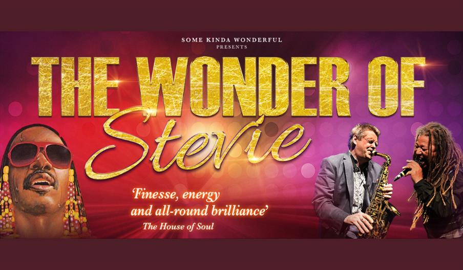 The Wonder of Stevie
