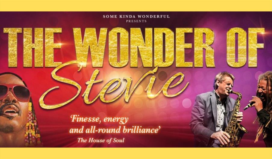 The Wonder of Stevie