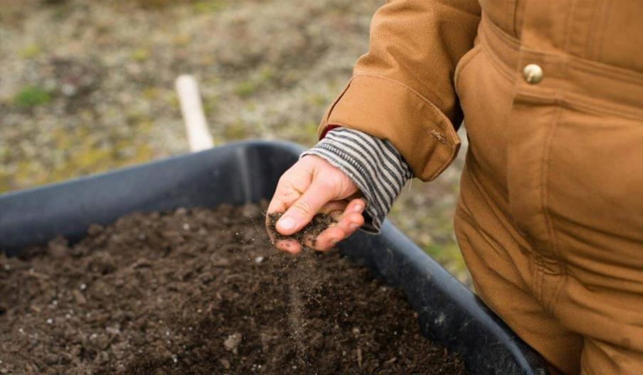 A hand grabbing a pile of soil from the tray