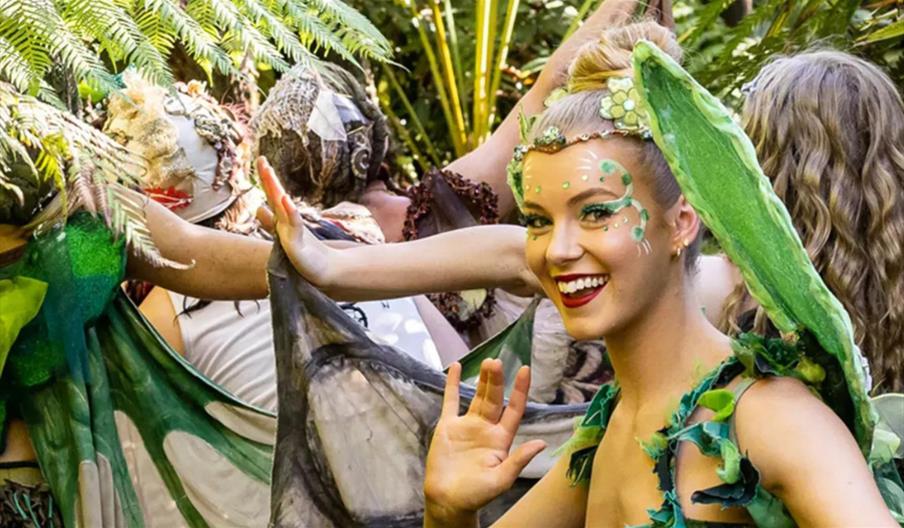 Theatre on Kew: The Dream Fairies - Adventure to Bubble Land