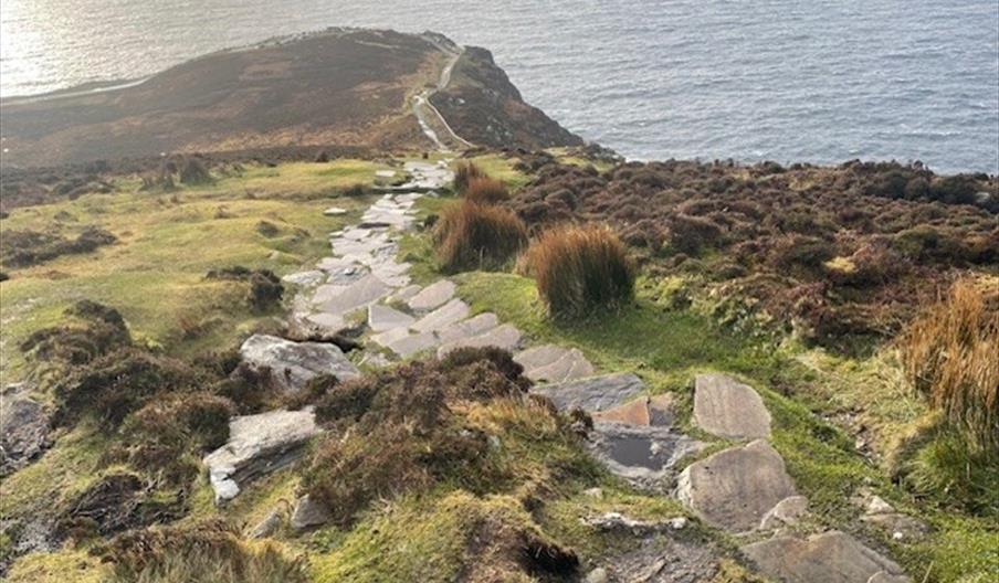 Picture sea and countryside