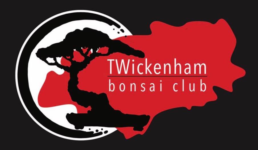 Twickenham Bonsai Club