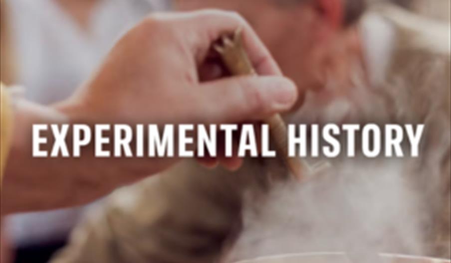 Experiental History