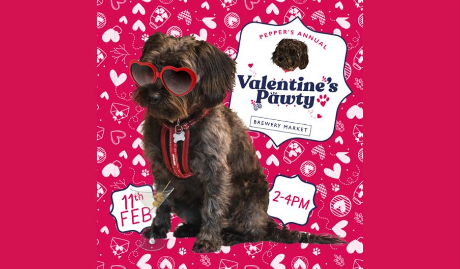 Valentines Pawty