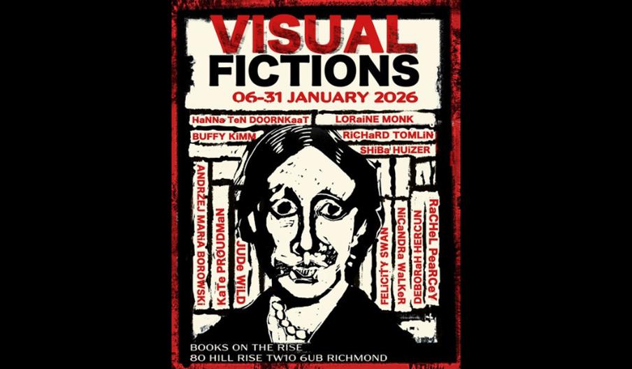 Visual Fictions