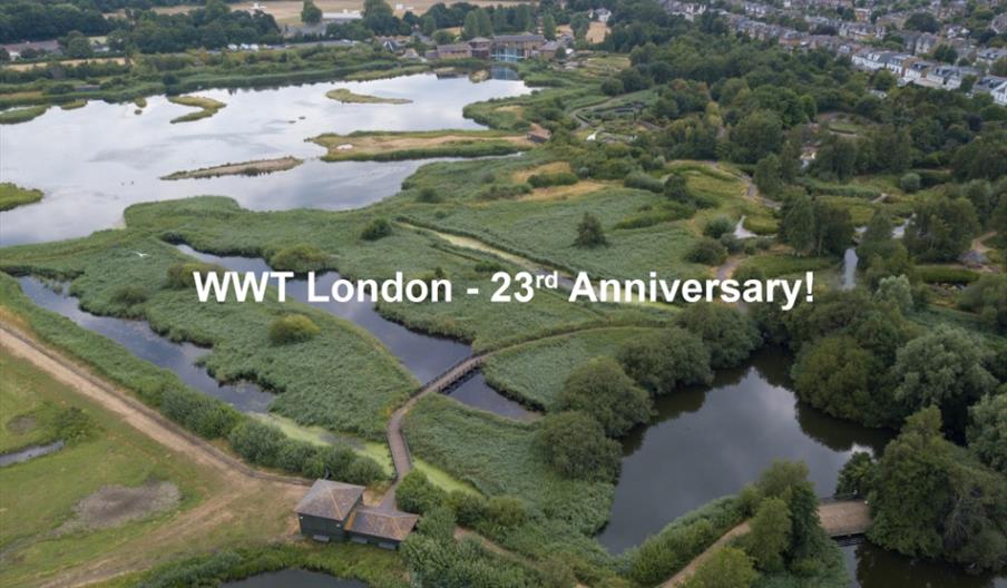 WWT London Anniversary