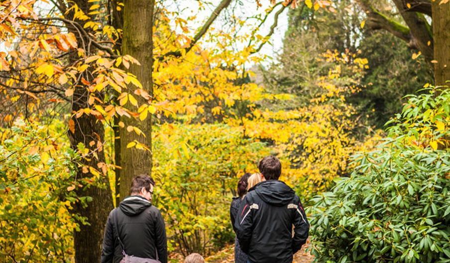 People walking