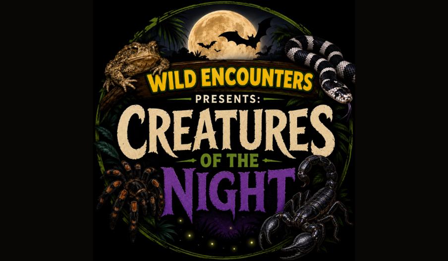 Creatures of the Night!