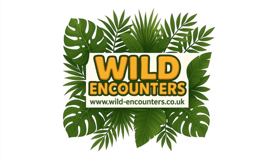Wild Encounters Limited