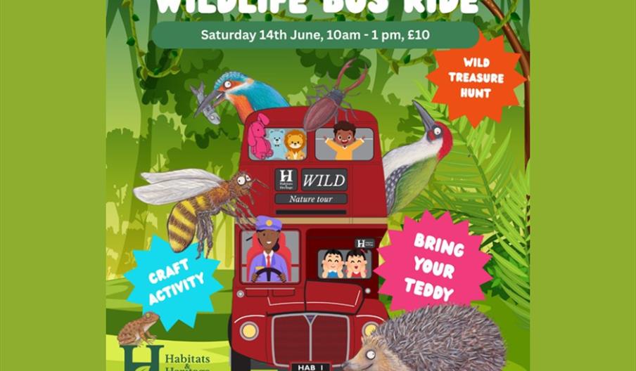 Children's Wildlife Bus Tour – Bring a Teddy