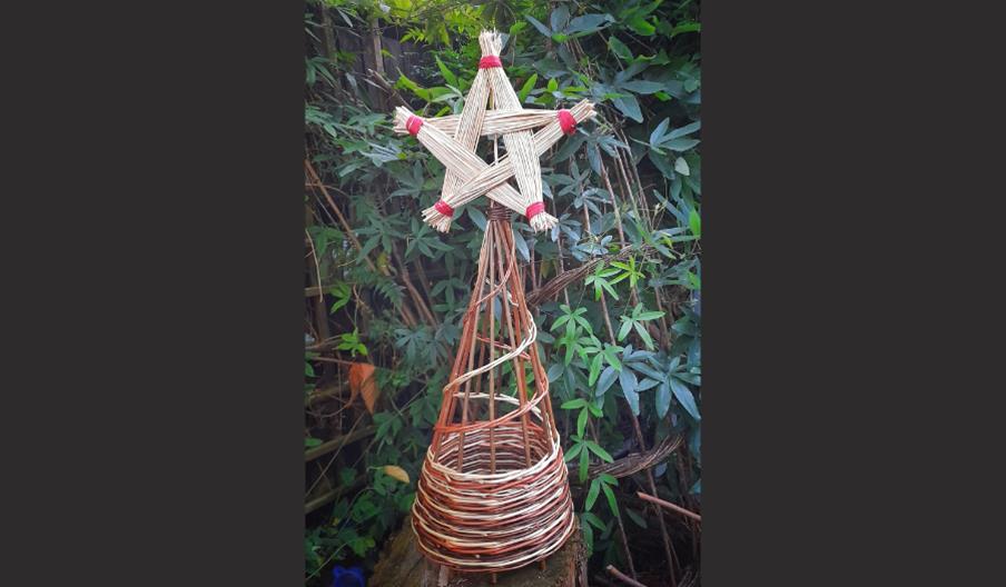 Willow tree with star