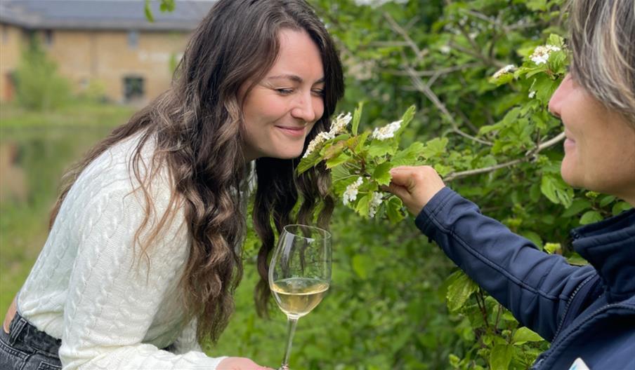 Wine & Walk: An Exclusive Evening of Wine and Wetlands