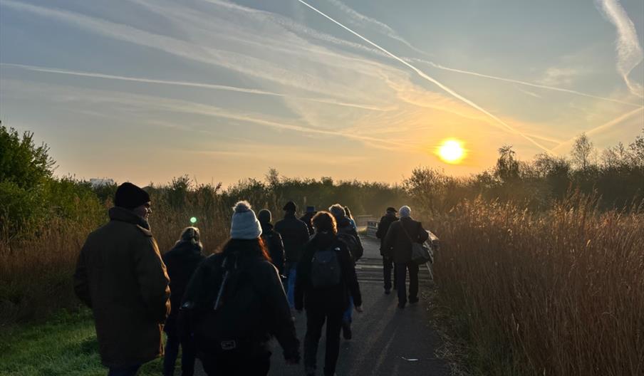 Winter Bird Walk