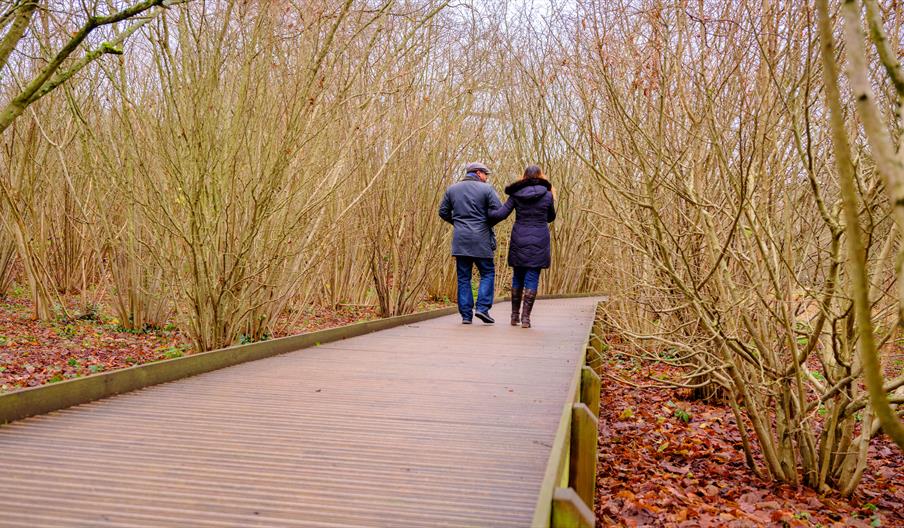 People walking along a woodland path.