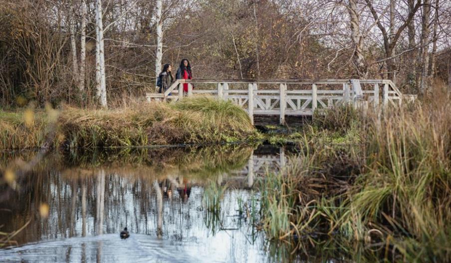 World Wetlands Day Walk