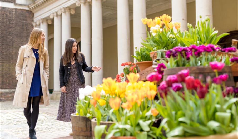 Two women admiring the Tulip planting in Clock Court, Hampton Court Palace