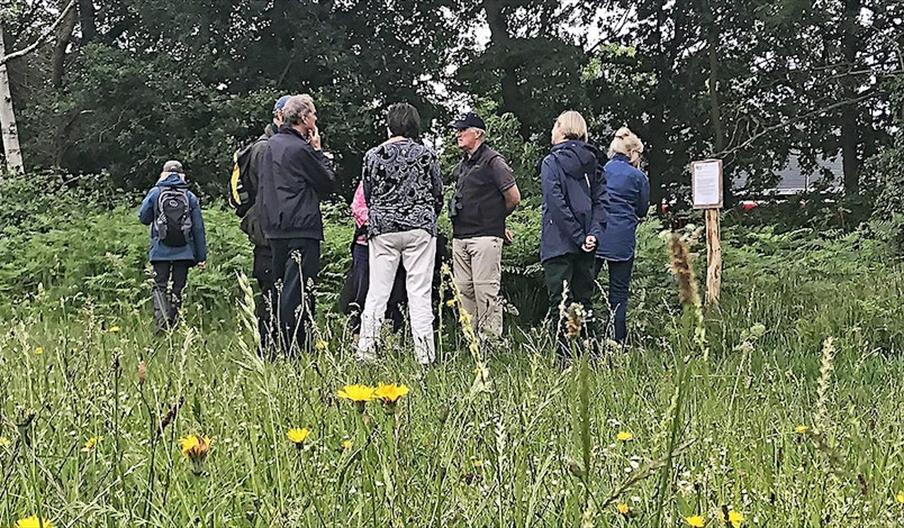 Walkers on Barnes Common