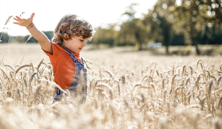 Caring For Little Minds: A Guide To Supporting Children's Mental Wellness