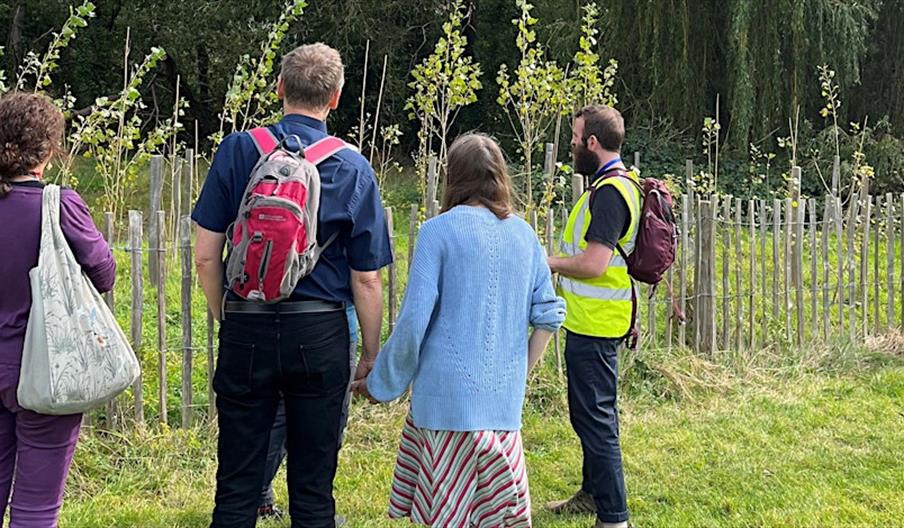 People looking at a group of young trees behind a fence
