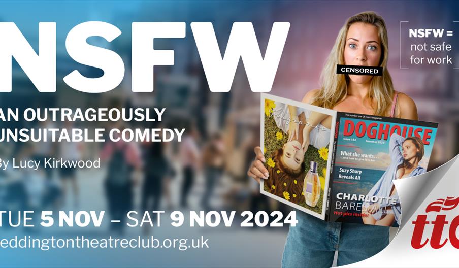 NSFW = Not Safe For Work: online material which the viewer may not want to be seen accessing in a public or formal setting such as at work.  Carrie's
