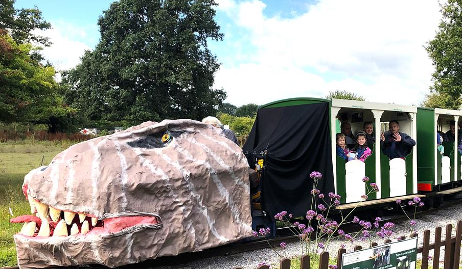 dino train with coaches
