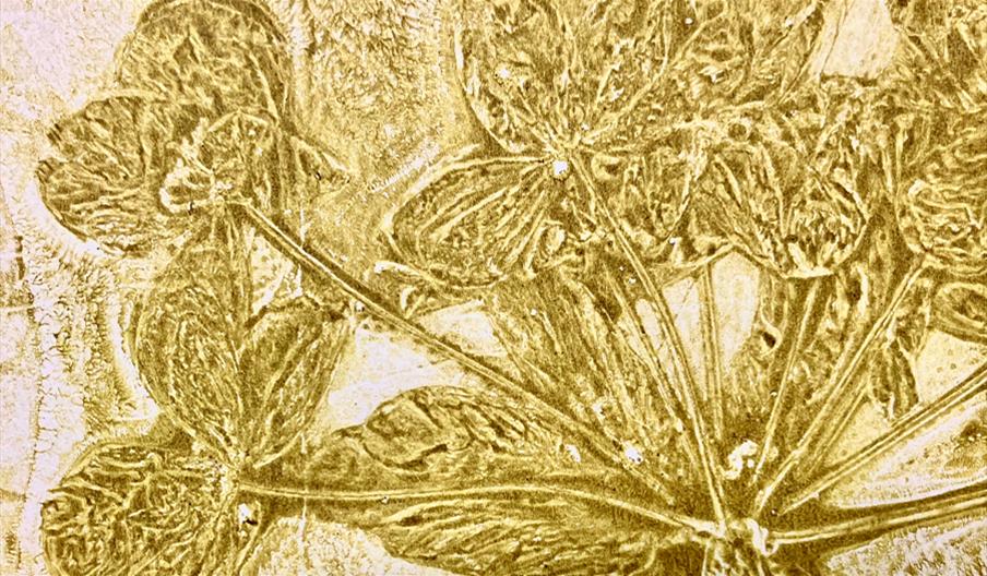 Intro to gel printing – taster