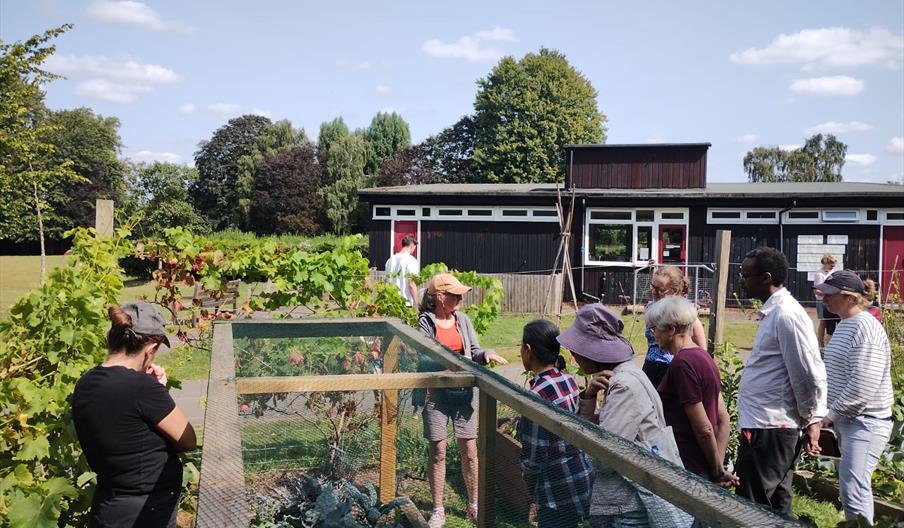 People in a garden