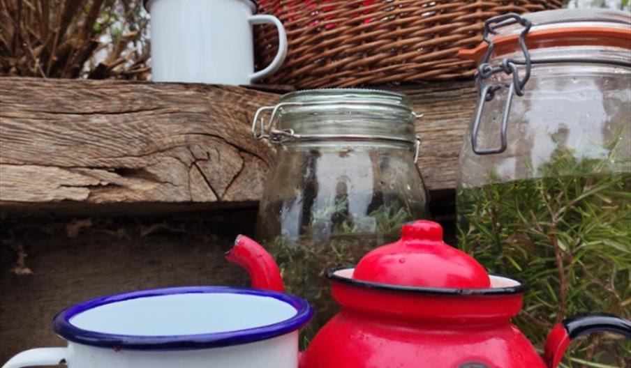 Wetland Wellbeing Workshop - Herbs and Teas