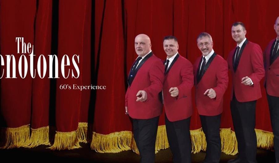 The Denotones