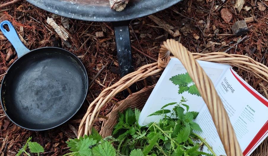 Wetland Wellbeing Workshop- Forest Feast - WWT