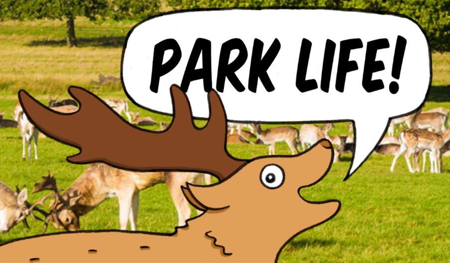 Park Life!