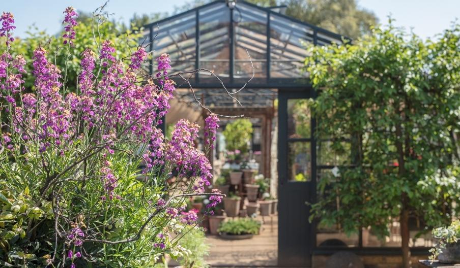 Outside shot of Petersham Nurseries