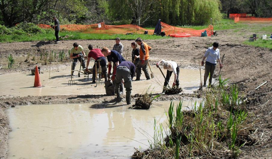 Volunteers planting the reedbed on Barnes Common