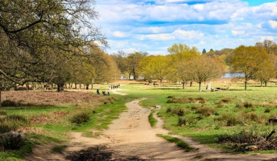 Short Walk in Richmond Park - Sheen Gate - Self Guided Trail in Richmond  Upon Thames - VisitRichmond