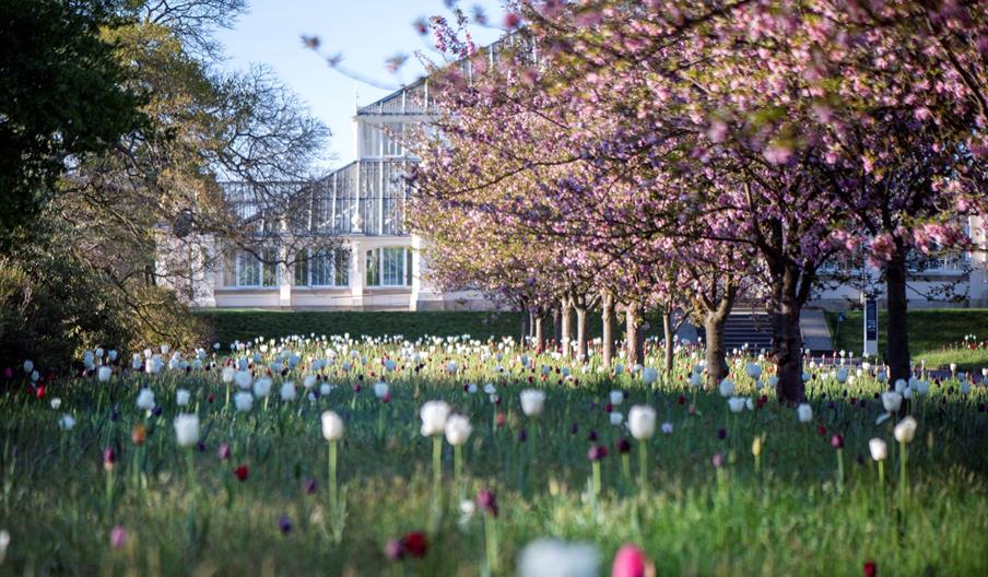 Kew Gardens