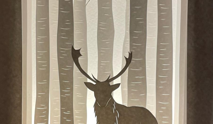 Stag lightbox
