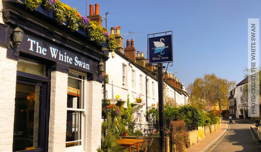 the white swan