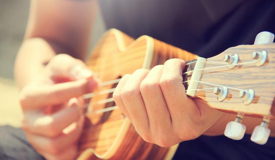 ukulele player