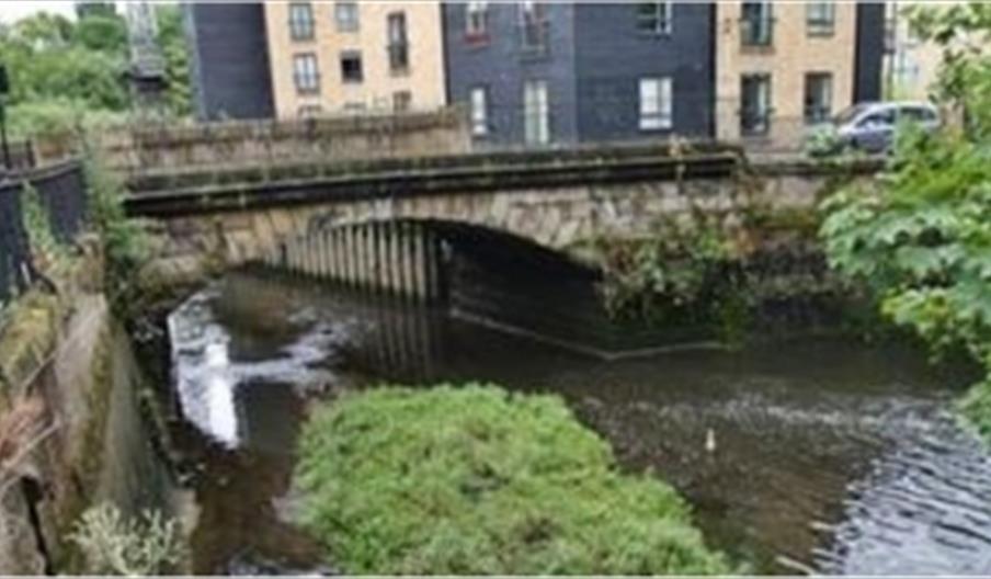 River Crane