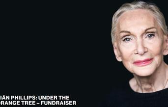 Sian Phillips - Under The Orange Tree