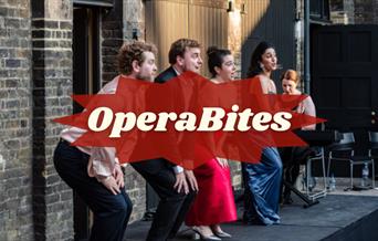 Opera Bites, one hour operatic concerts