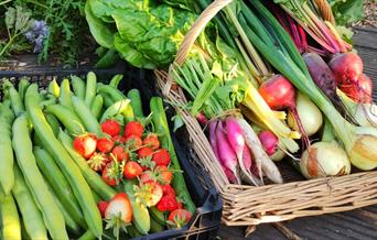 Produce grown and harvested for the local food bank