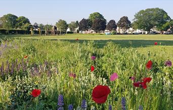 Heathfield Recreation Ground